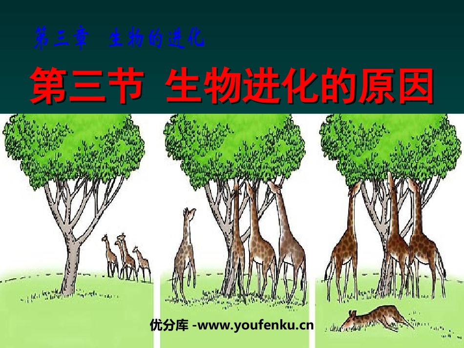 《生物进化的原因》生物的进化PPT课件[人教版八年级生物]_第1页