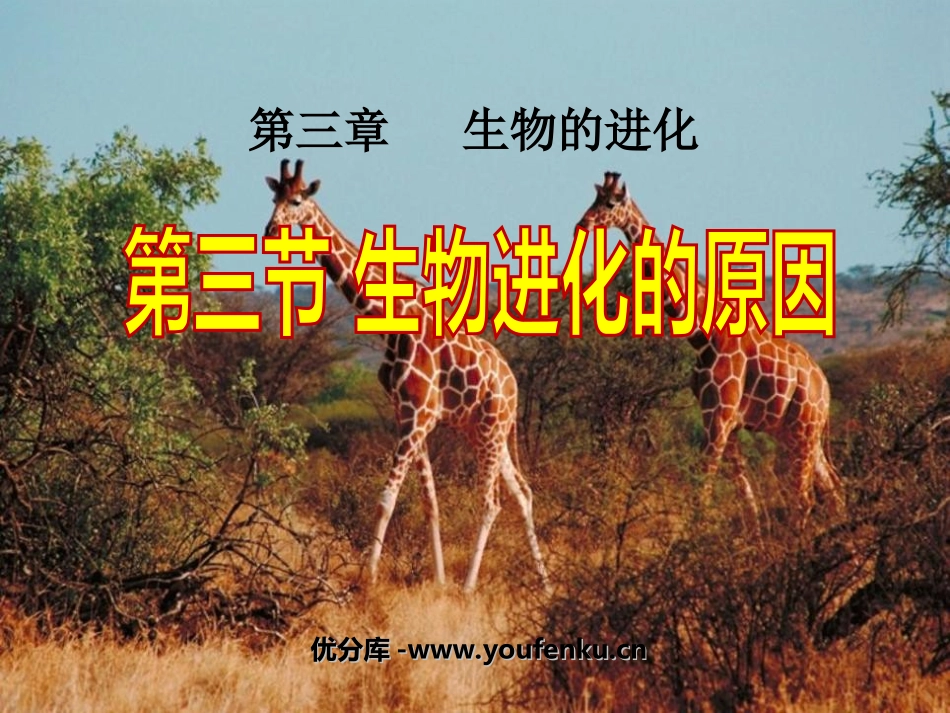 《生物进化的原因》生物的进化PPT课件[人教版八年级生物]_第1页