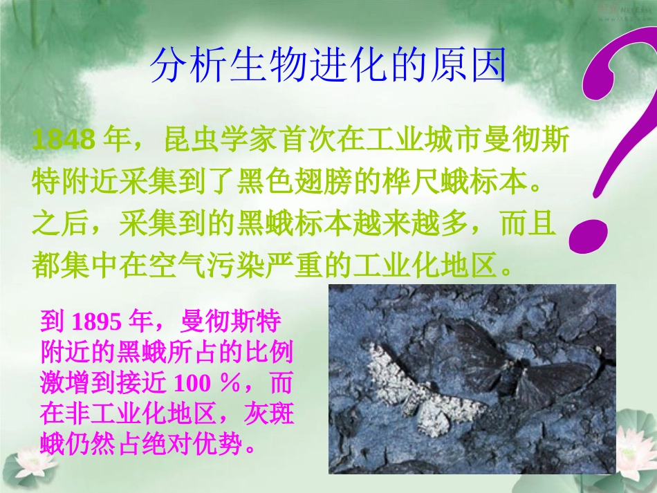 《生物进化的原因》生物的进化PPT课件[人教版八年级生物]_第3页