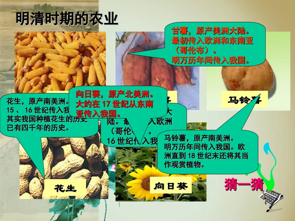 《明清经济的发展与闭关锁国》统一多民族国家的巩固和社会的危机PPT课件_第3页