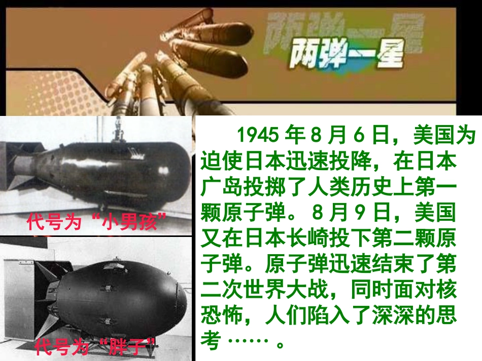 《科学技术的成就一》科技教育与文化PPT课件[部编版八年级历史]_第3页