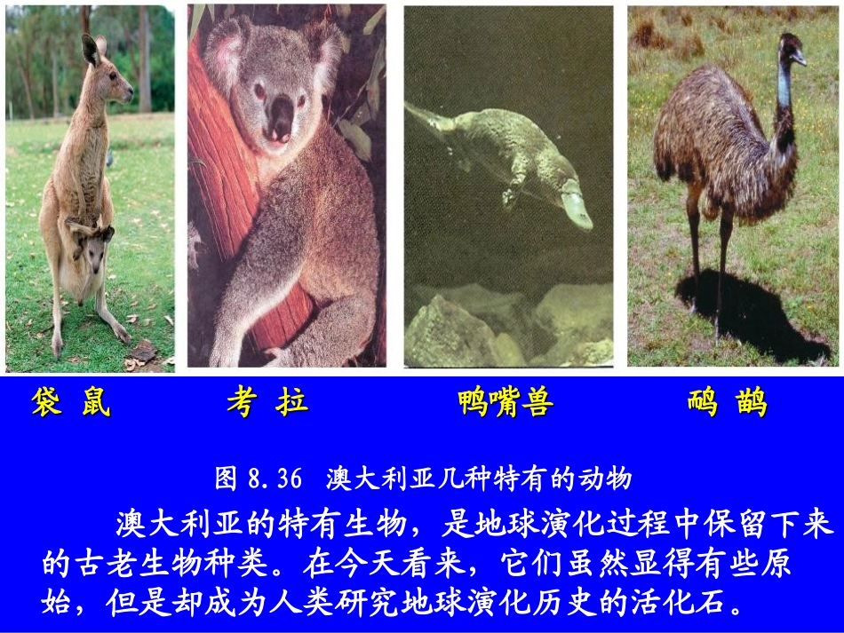 《澳大利亚》东半球其他的地区和国家PPT课件[人教版七年级地理]_第3页