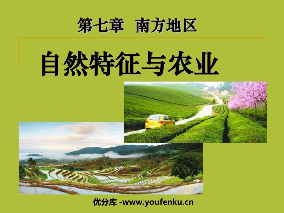 《自然特征与农业》南方地区PPT课件[人教版八年级地理下册]_第1页