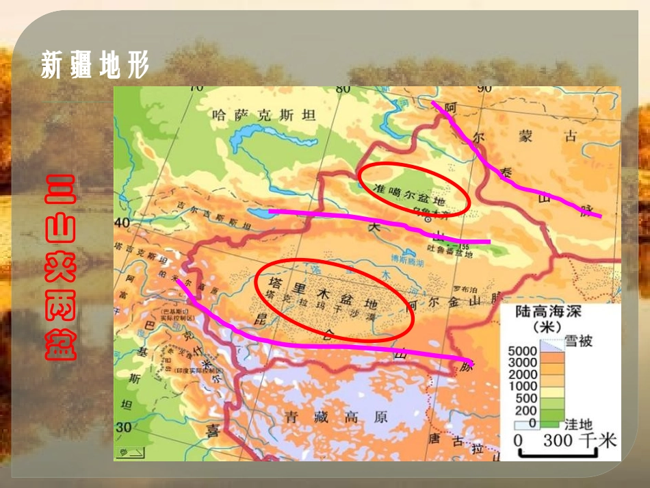《干旱的宝地塔里木盆地》西北地区PPT课件[人教版八年级地理]_第3页