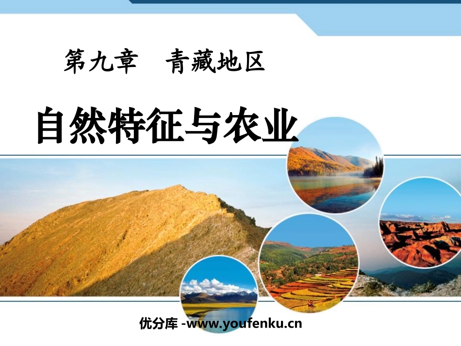 《自然特征与农业》青藏地区PPT课件[人教版八年级地理下册]_第1页