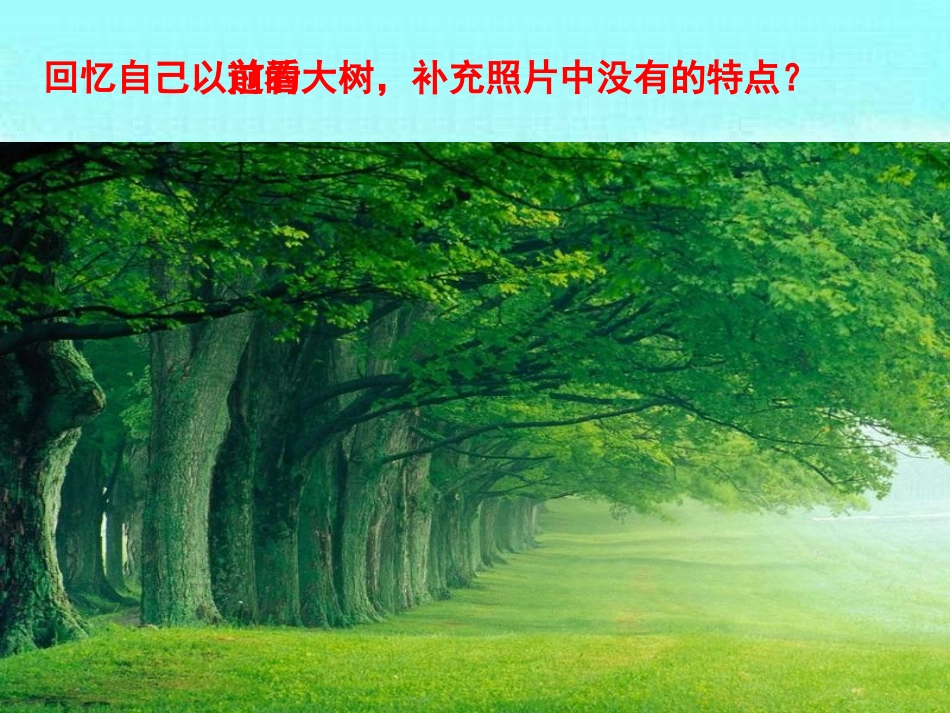 《我看到了什么》植物PPT课件[教科版三年级科学上册]_第2页