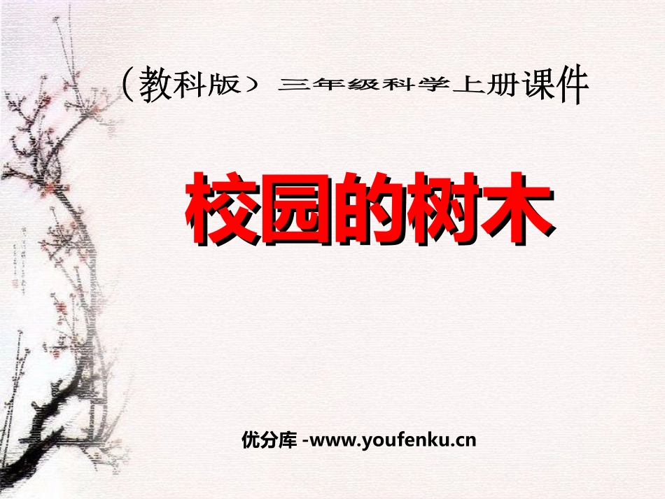 《校园的树木》植物PPT课件[教科版三年级科学上册]_第1页