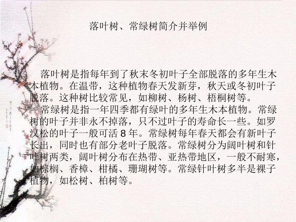 《校园的树木》植物PPT课件[教科版三年级科学上册]_第2页