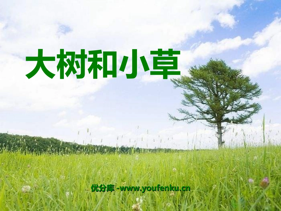 《大树和小草》植物PPT课件[教科版三年级科学上册]_第1页