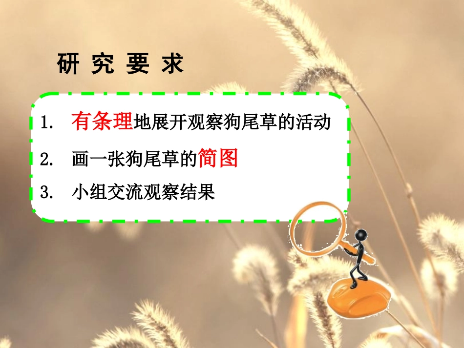 《大树和小草》植物PPT课件[教科版三年级科学上册]_第3页
