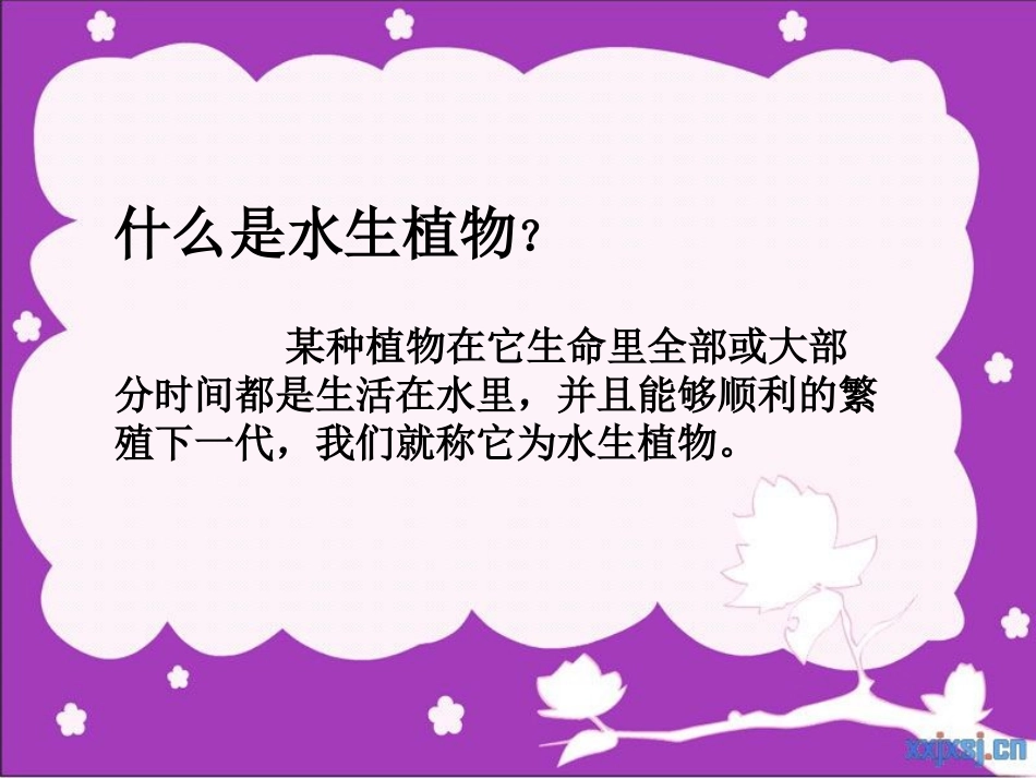 《水生植物》植物PPT课件[教科版三年级科学上册]_第1页