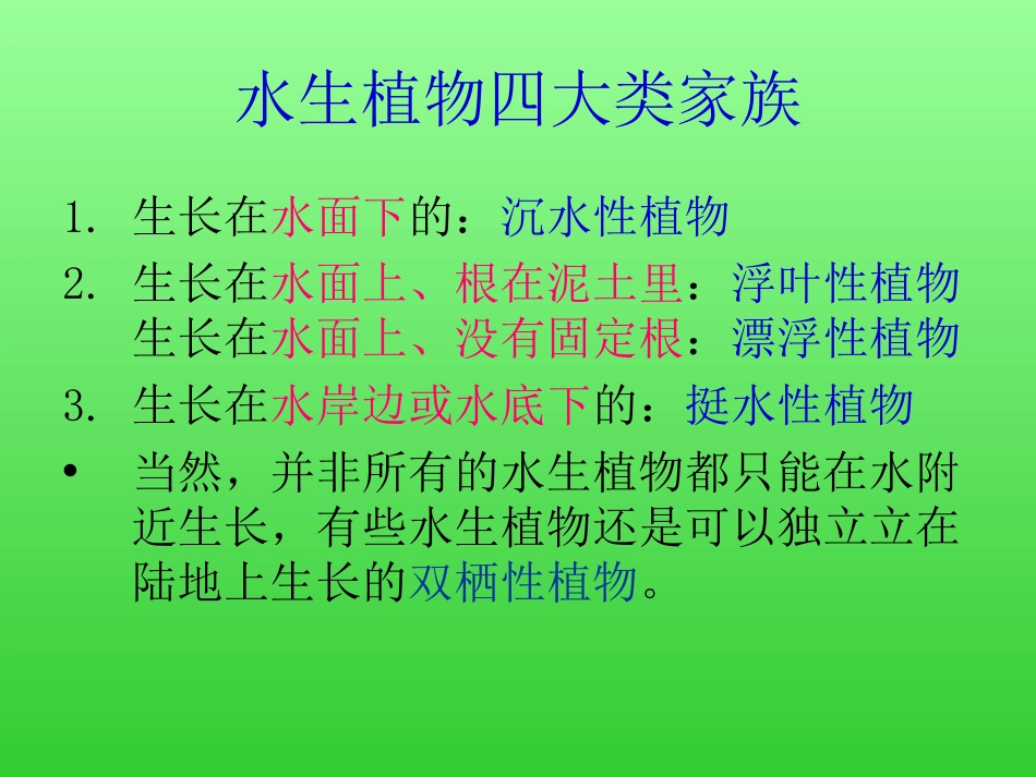 《水生植物》植物PPT课件[教科版三年级科学上册]_第3页
