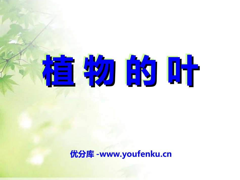 《植物的叶》植物PPT课件[教科版三年级科学上册]_第1页