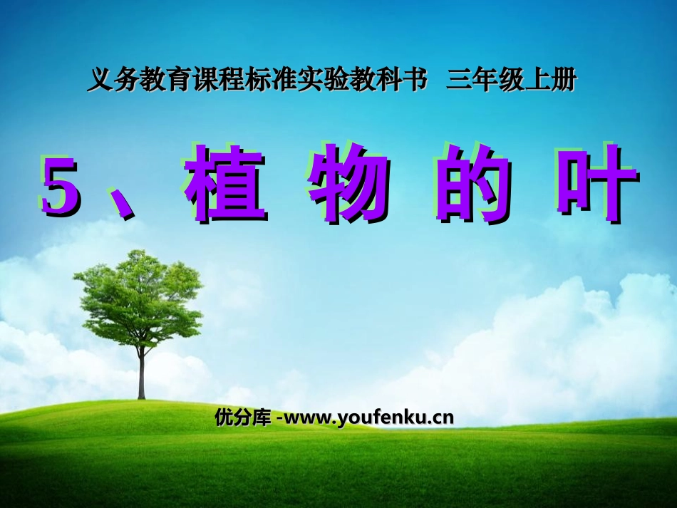 《植物的叶》植物PPT课件[教科版三年级科学上册]_第1页