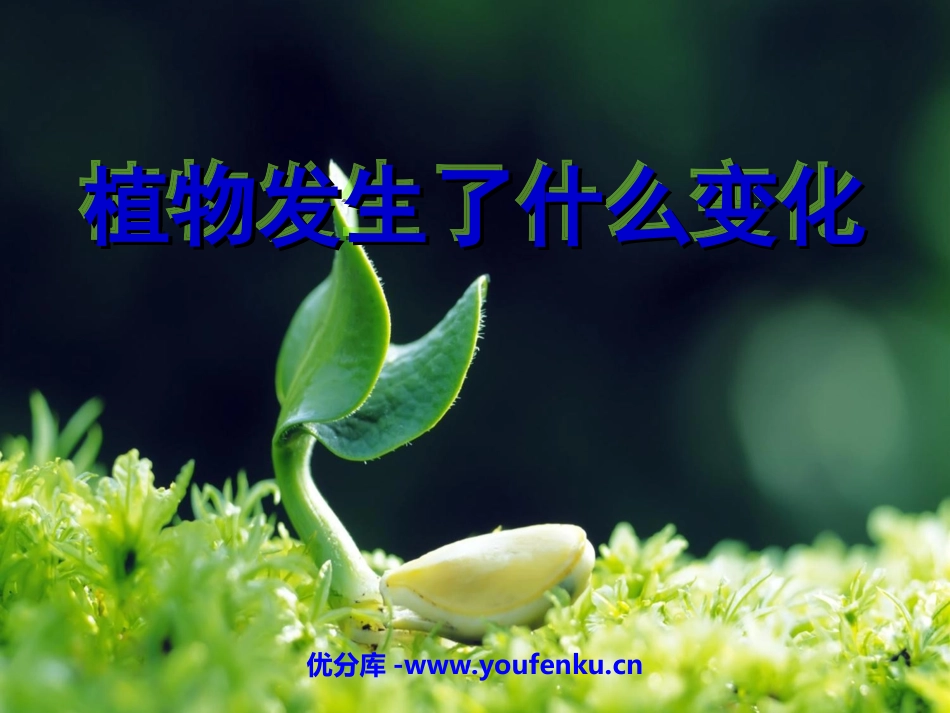 《植物发生了什么变化》植物PPT课件[教科版三年级科学上册]_第1页