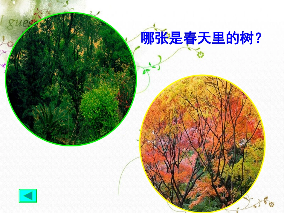 《植物发生了什么变化》植物PPT课件[教科版三年级科学上册]_第2页