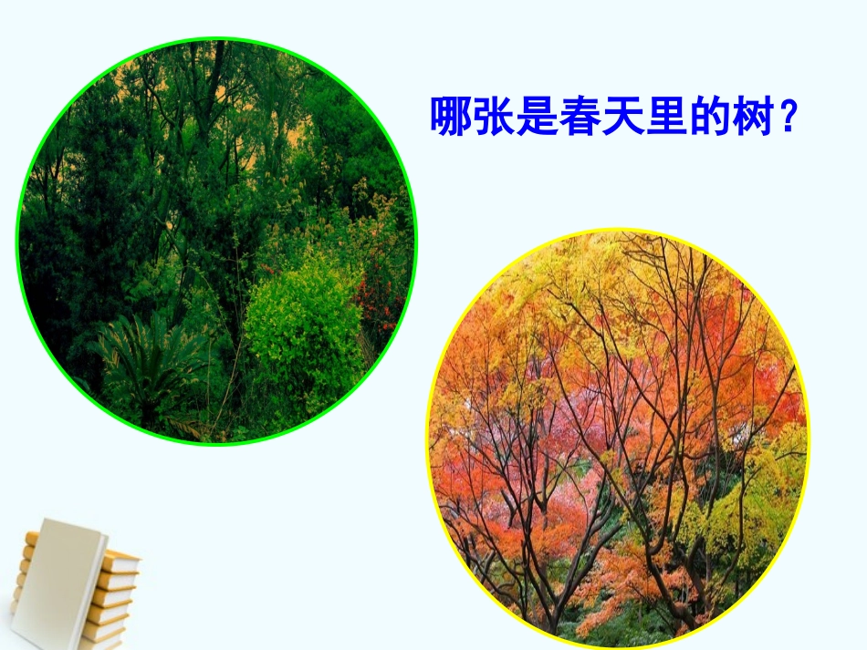 《植物发生了什么变化》植物PPT课件[教科版三年级科学上册]_第2页