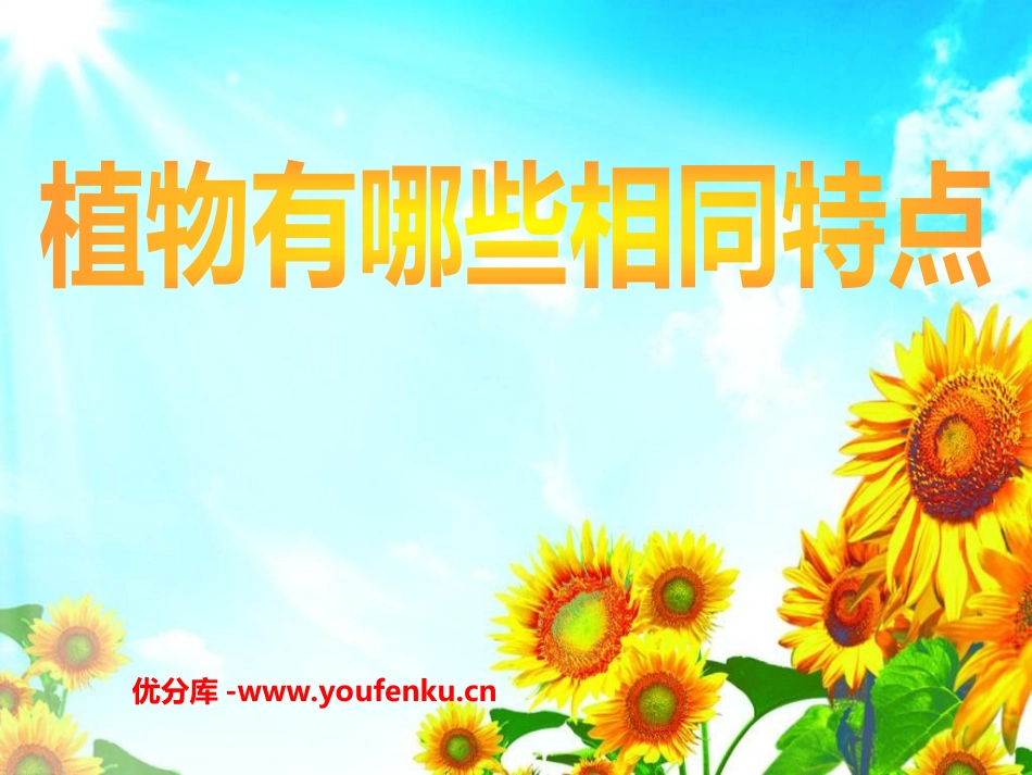 《植物有哪些相同点》植物PPT课件[教科版三年级科学上册]_第1页