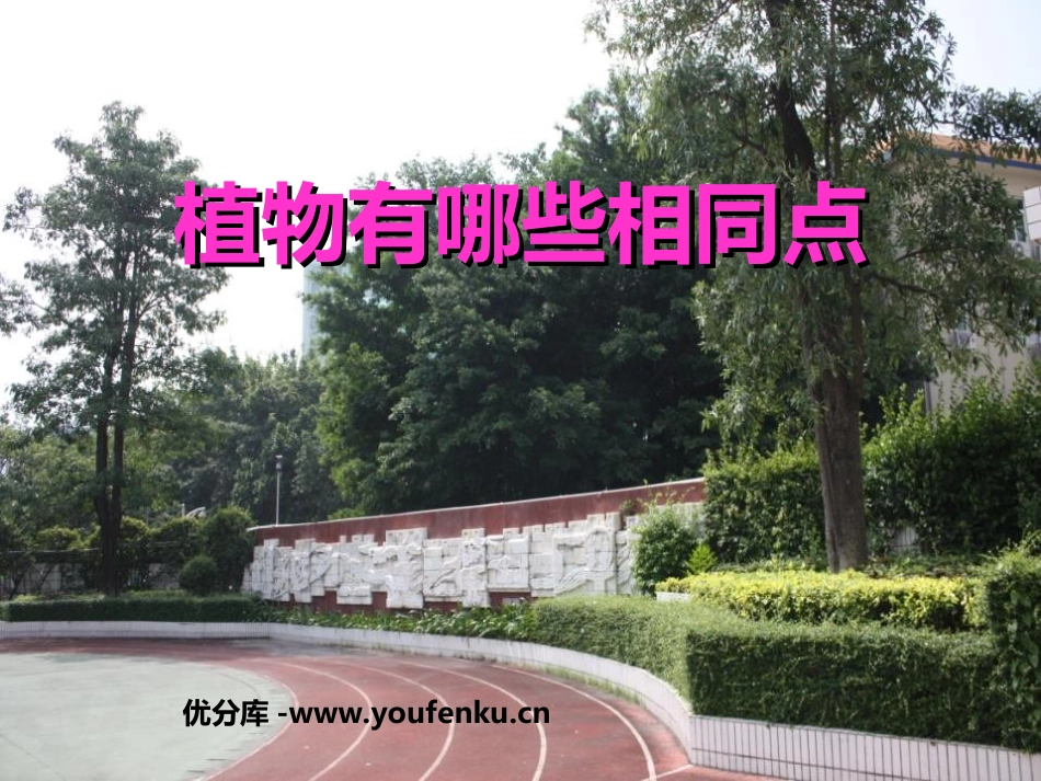 《植物有哪些相同点》植物PPT课件[教科版三年级科学上册]_第1页