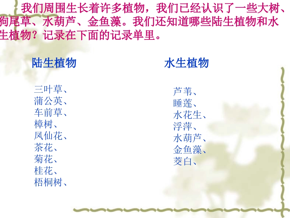 《植物有哪些相同点》植物PPT课件[教科版三年级科学上册]_第2页