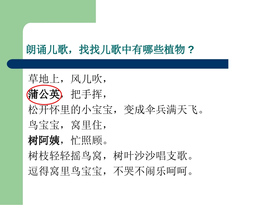 《植物有哪些相同点》植物PPT课件[教科版三年级科学上册]_第2页