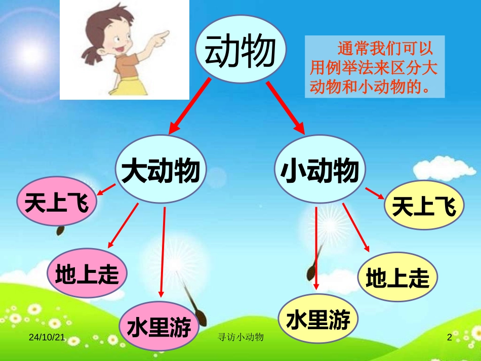 《寻访小动物》动物PPT课件[教科版三年级科学上册]_第2页