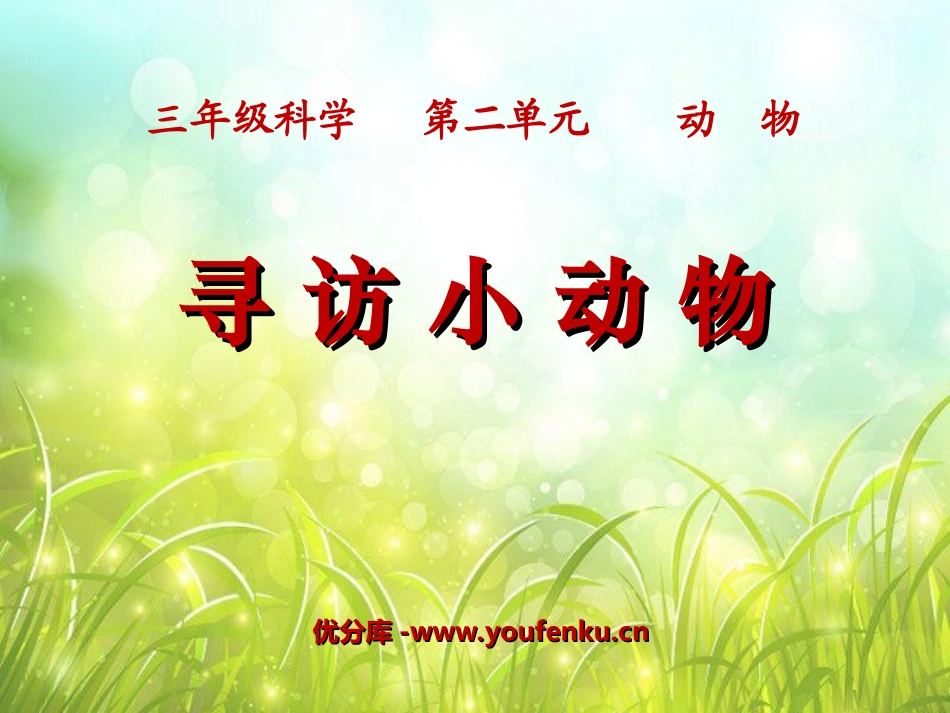 《寻访小动物》动物PPT课件[教科版三年级科学上册]_第1页