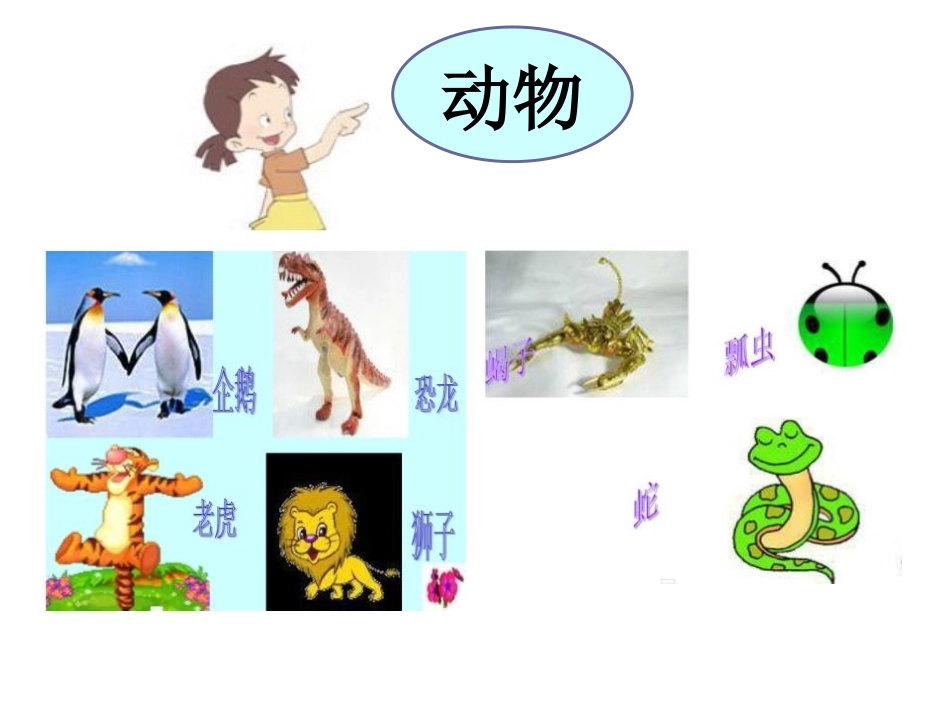 《寻访小动物》动物PPT课件[教科版三年级科学上册]_第3页