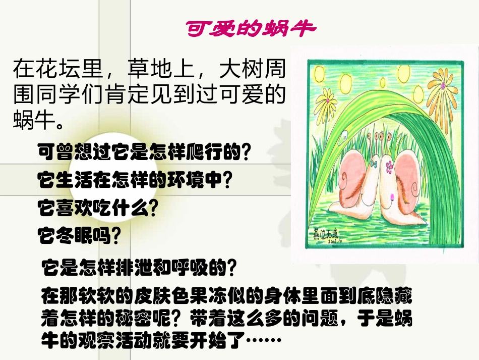 《蜗牛》动物PPT课件[教科版三年级科学上册]_第2页