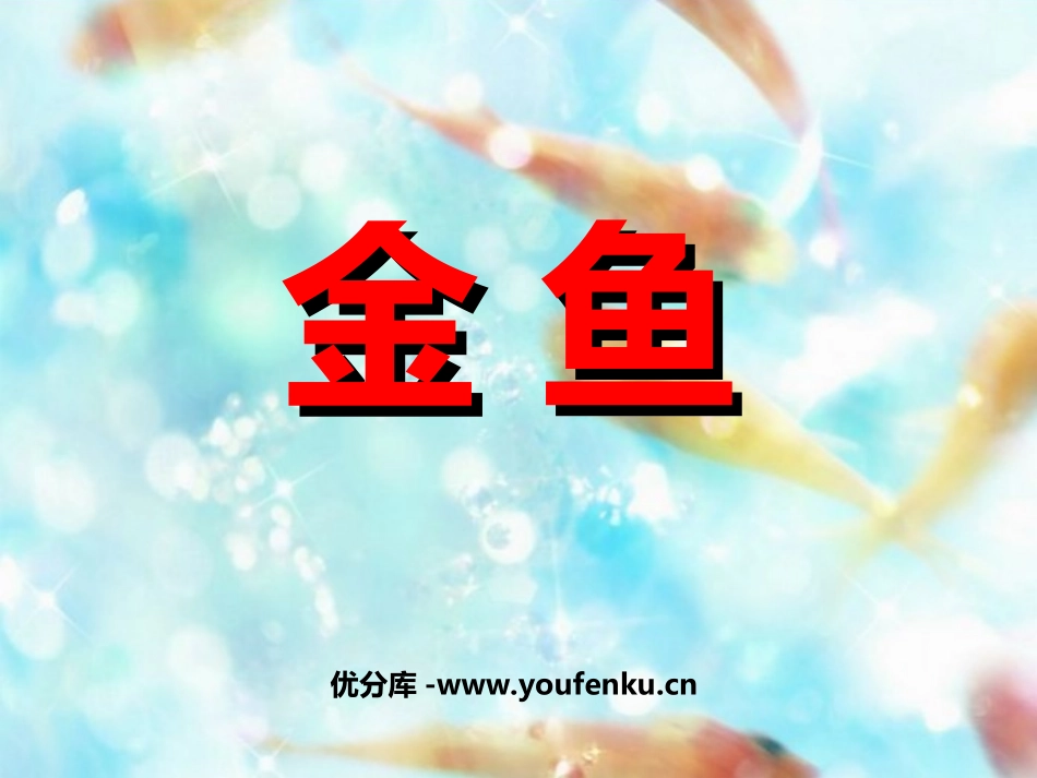 《金鱼》动物PPT课件[教科版三年级科学上册]_第1页