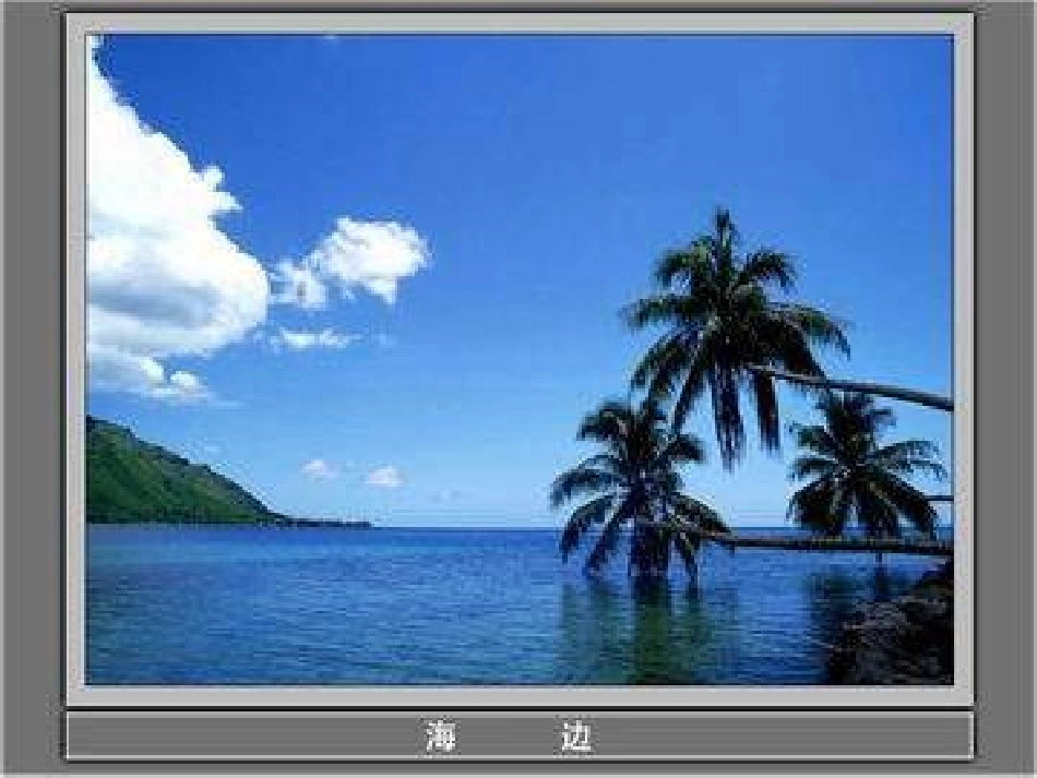 《水》水和空气PPT课件[教科版三年级科学上册]_第3页