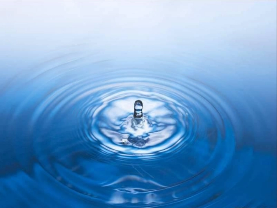 《水》水和空气PPT课件[教科版三年级科学上册]_第1页