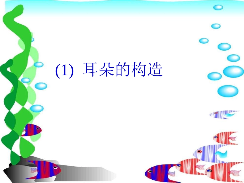《我们是怎样听到声音的》声音PPT课件[教科版四年级科学]_第2页