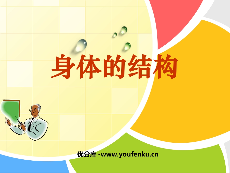 《身体的结构》我们的身体PPT课件[教科版四年级科学上册]_第1页