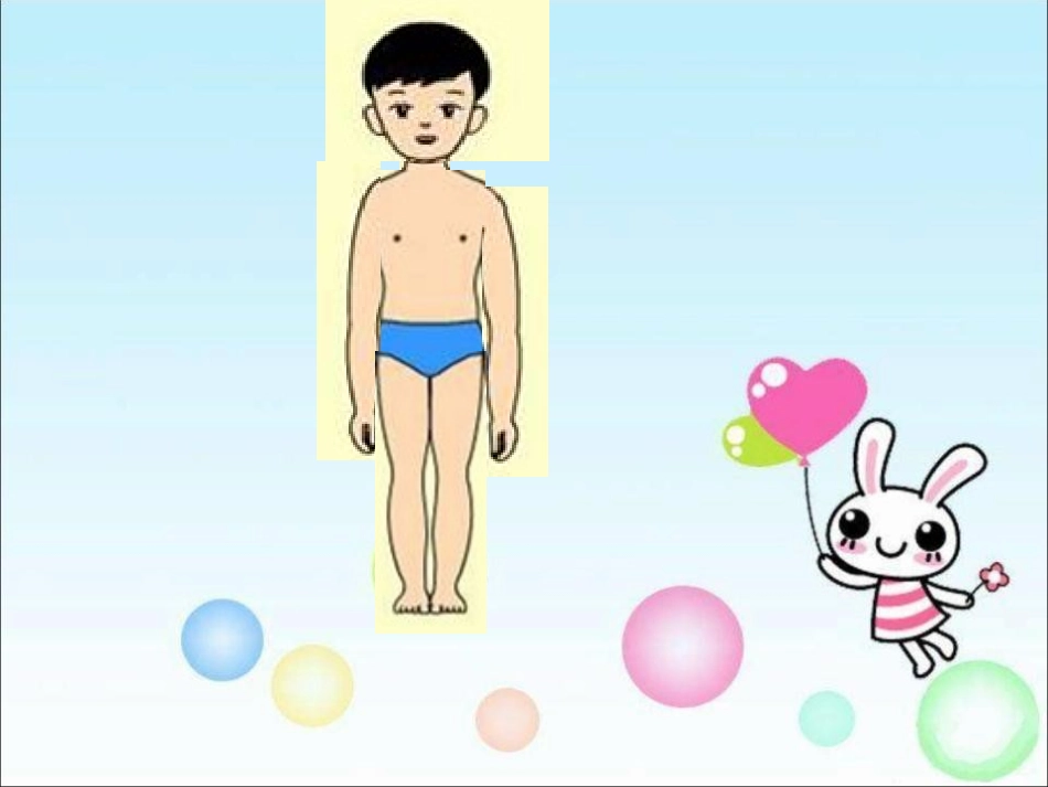 《身体的结构》我们的身体PPT课件[教科版四年级科学上册]_第3页