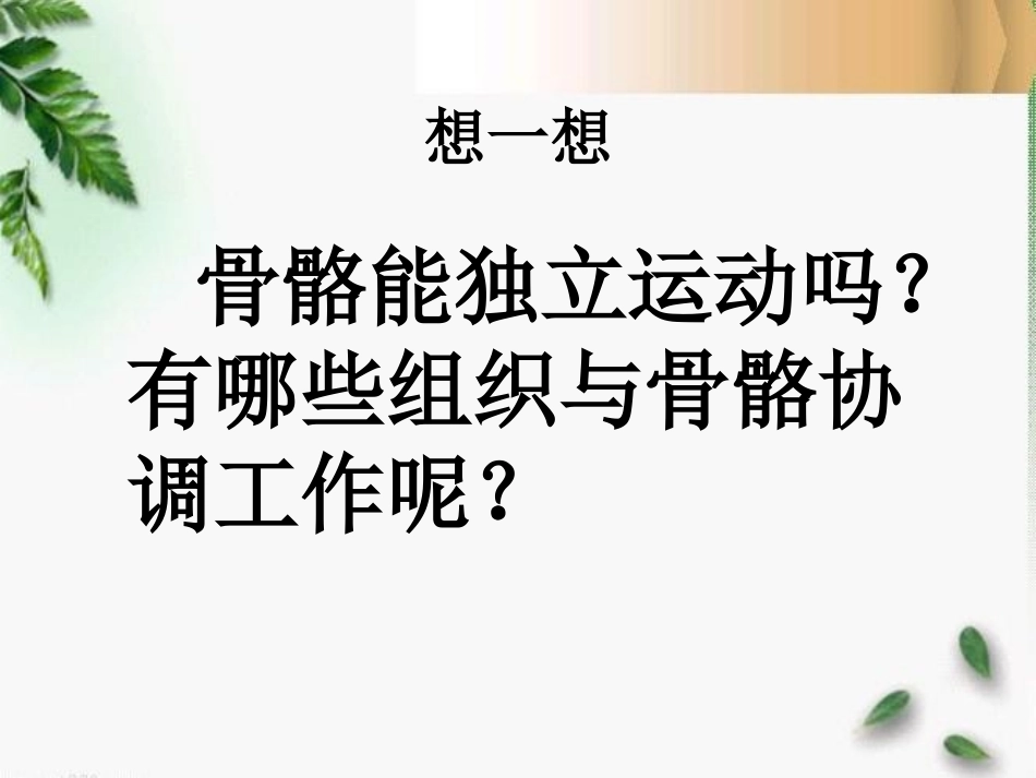 《骨骼、关节和肌肉》我们的身体PPT课件[教科版四年级科学]_第3页