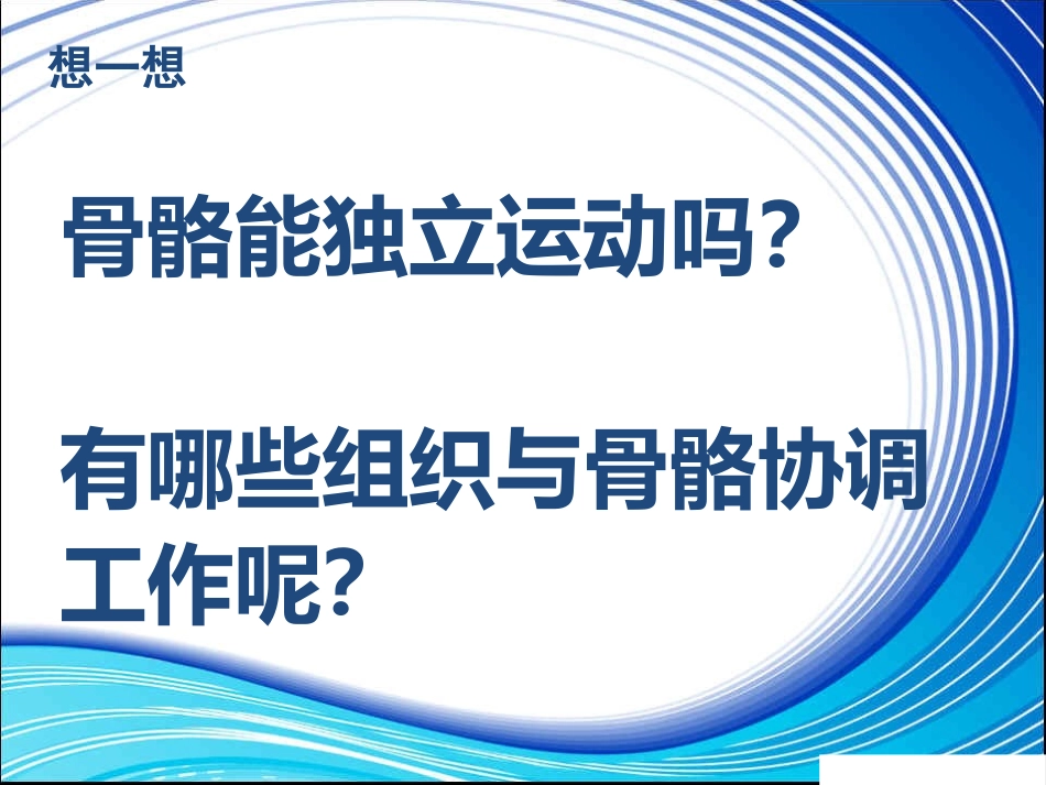 《骨骼、关节和肌肉》我们的身体PPT课件[教科版四年级科学]_第3页