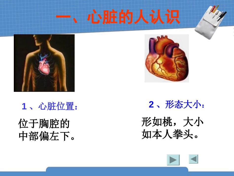 《运动起来会怎样(二)》我们的身体PPT课件[教科版四年级科学]_第2页