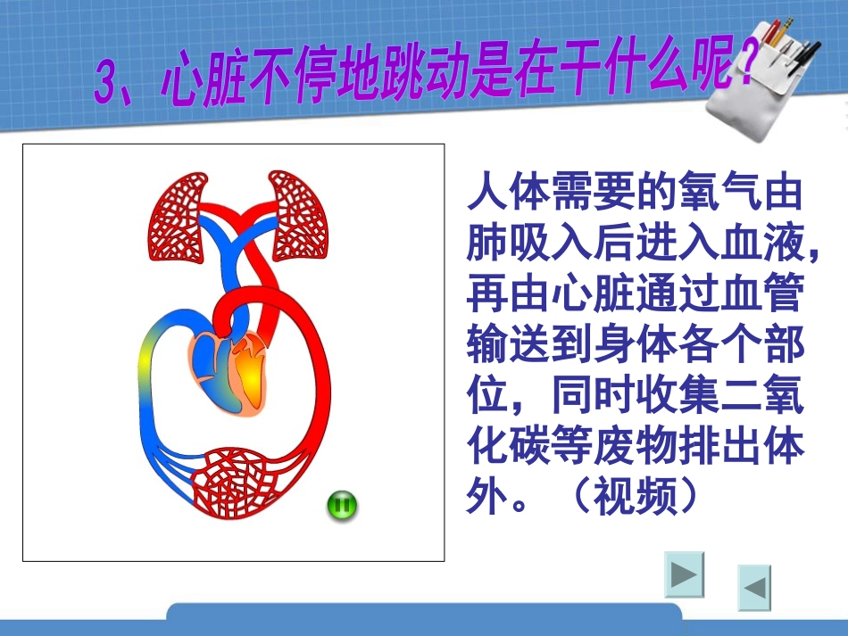 《运动起来会怎样(二)》我们的身体PPT课件[教科版四年级科学]_第3页