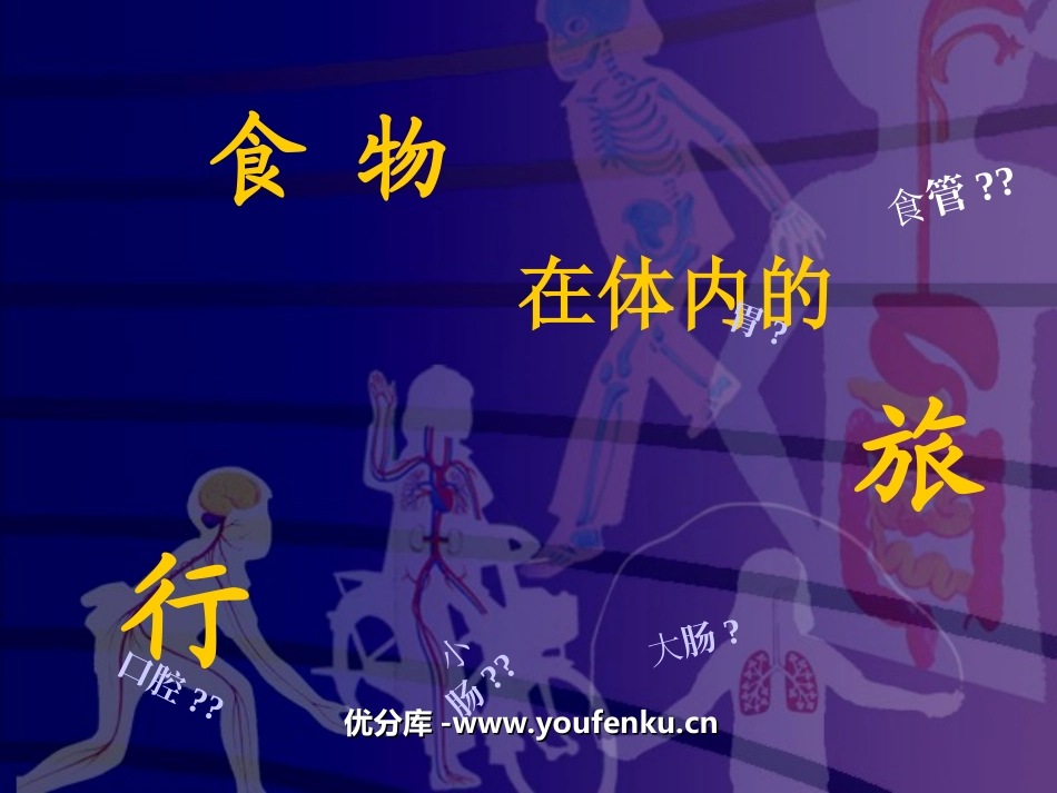 《食物在体内的旅行》我们的身体PPT课件[教科版四年级科学]_第1页