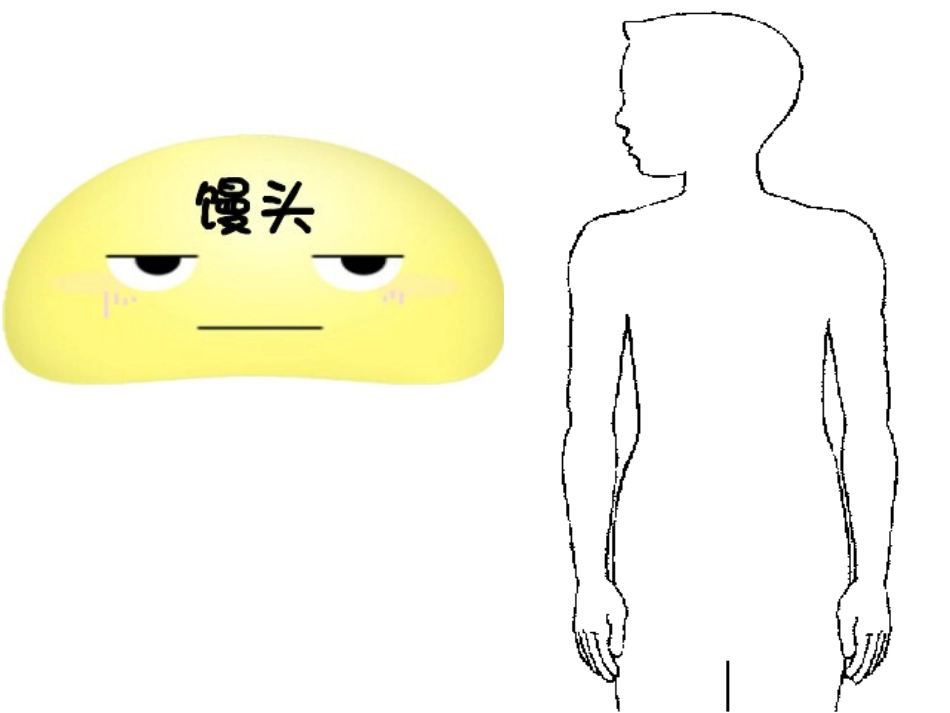 《食物在体内的旅行》我们的身体PPT课件[教科版四年级科学]_第2页