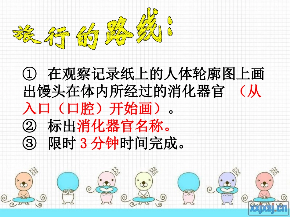 《食物在体内的旅行》我们的身体PPT课件[教科版四年级科学]_第3页