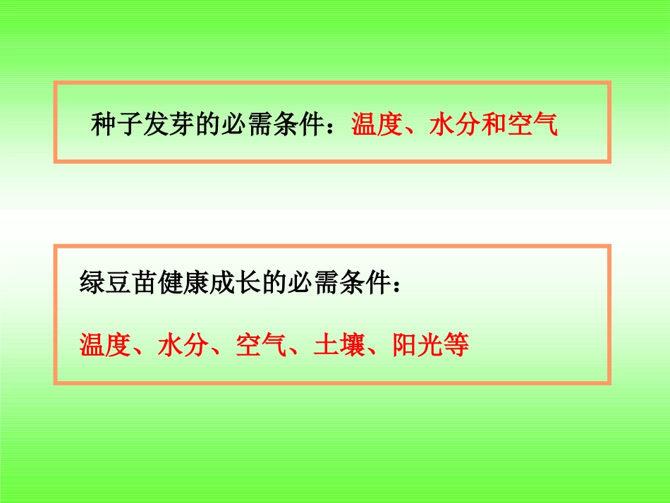 《观察绿豆芽的生长》生物与环境PPT课件[教科版五年级科学]_第3页