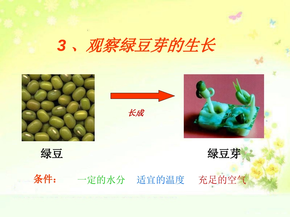 《观察绿豆芽的生长》生物与环境PPT课件[教科版五年级科学]_第2页