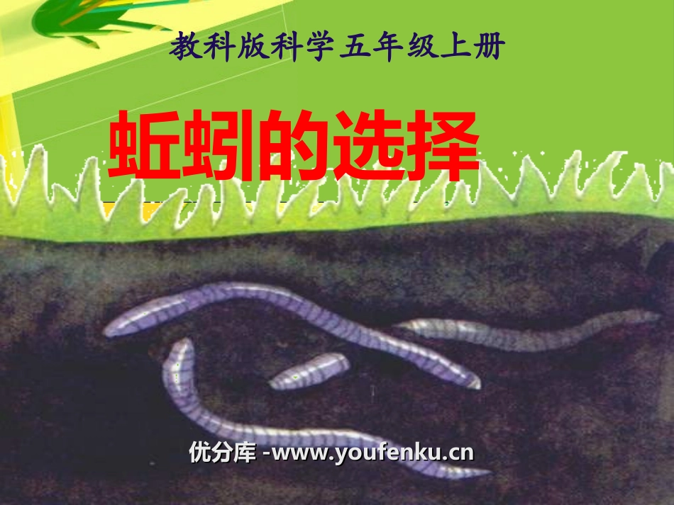 《蚯蚓的选择》生物与环境PPT课件[教科版五年级科学上册]_第1页