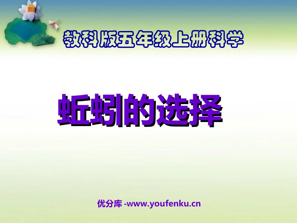 《蚯蚓的选择》生物与环境PPT课件[教科版五年级科学上册]_第1页