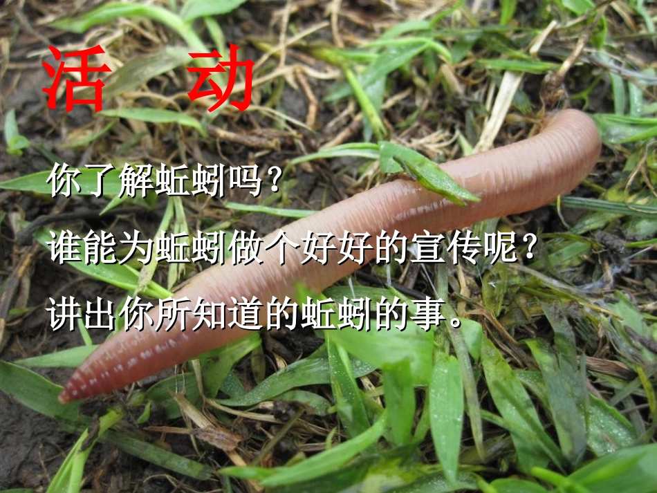 《蚯蚓的选择》生物与环境PPT课件[教科版五年级科学上册]_第2页