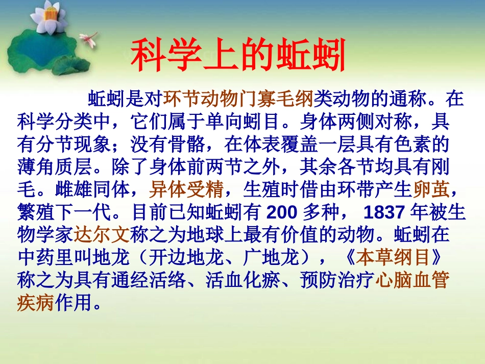 《蚯蚓的选择》生物与环境PPT课件[教科版五年级科学上册]_第3页