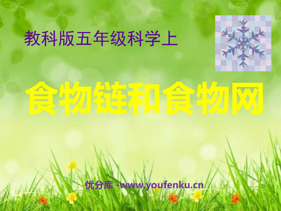 《食物链和食物网》生物与环境PPT课件[教科版五年级科学]_第1页