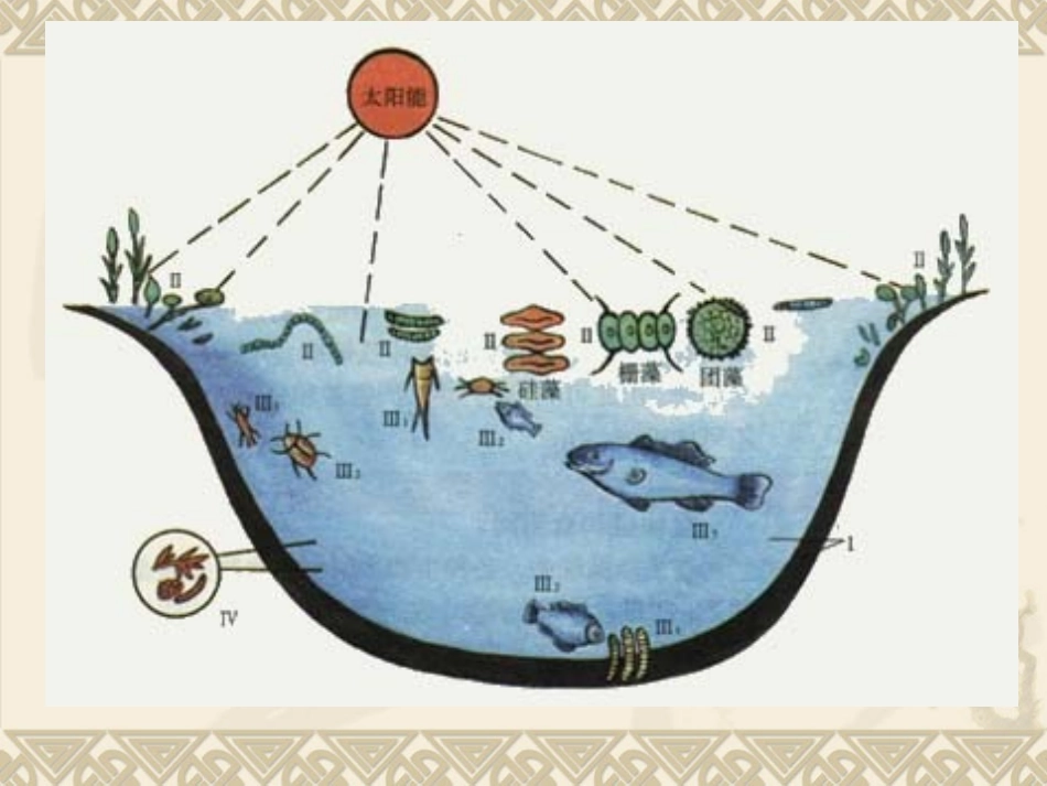 《做一个生态瓶》生物与环境PPT课件[教科版五年级科学上册]_第2页